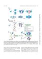 Thumbnail for version as of 06:17, 11 April 2026