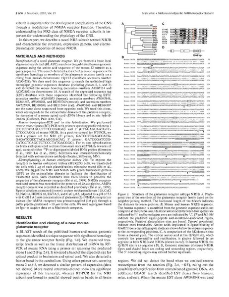 File:Page2-693px-Nishi J Neurosci 2001.pdf.jpg