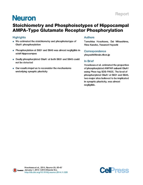 File:Hosokawa Neuron.pdf