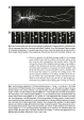 Thumbnail for version as of 06:17, 11 April 2026