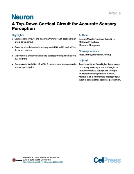 File:20250323102837!Manita Neuron.pdf