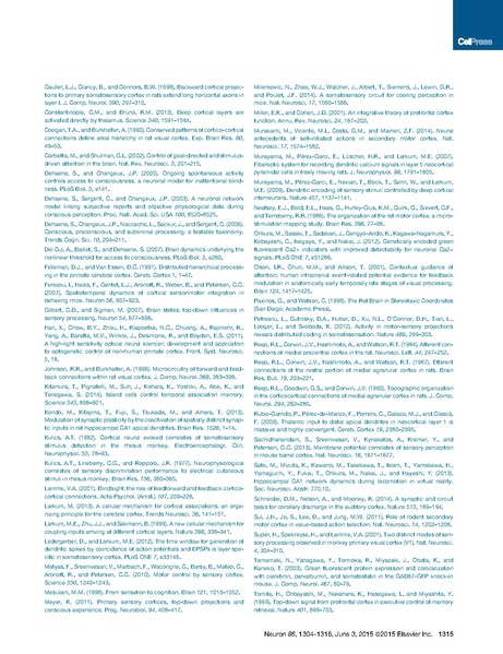 File:20250323102837!Manita Neuron.pdf