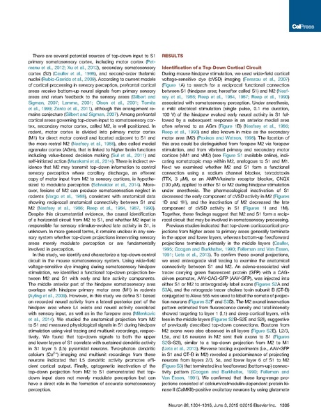 File:20250323102837!Manita Neuron.pdf