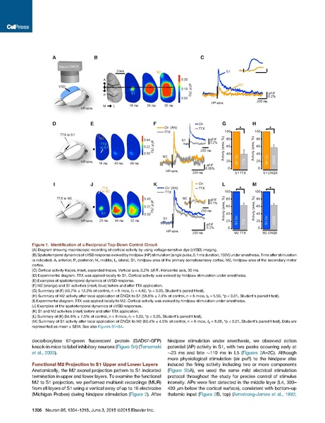 File:20250323102837!Manita Neuron.pdf