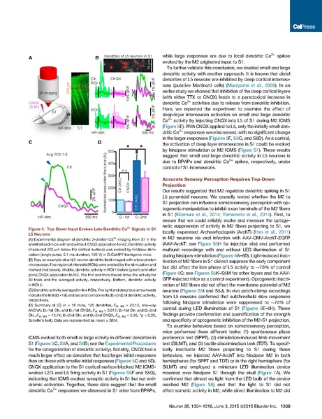 File:20250323102837!Manita Neuron.pdf