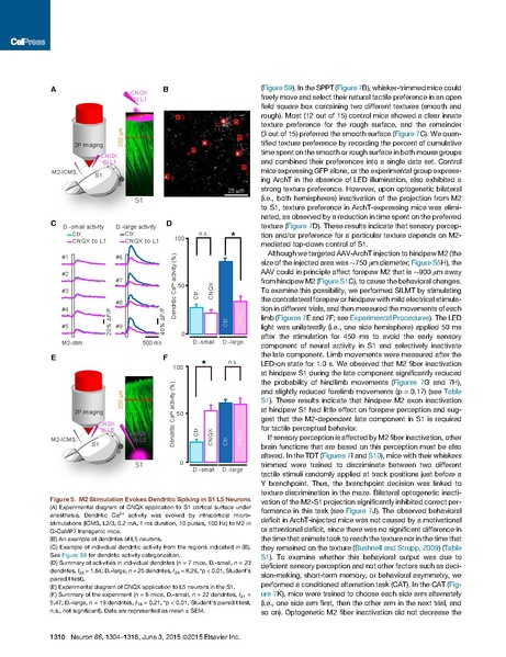 File:20250323102837!Manita Neuron.pdf