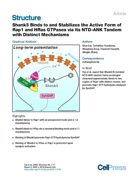 File:Page1-922px-Cai Structure 2020.pdf.jpg