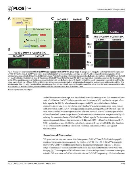 File:Page4-695px-Sato PLOS One.pdf.jpg