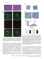 Thumbnail for version as of 06:18, 11 April 2026