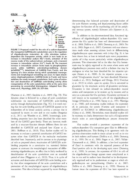 File:Page12-454px-Martinez-Lozada Glia.pdf.jpg