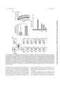 Thumbnail for version as of 06:17, 11 April 2026