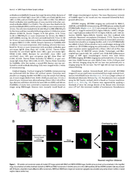 File:Kuo J Neurosci 2025.pdf