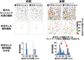Thumbnail for version as of 06:17, 11 April 2026