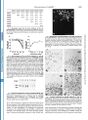 Thumbnail for version as of 06:17, 11 April 2026