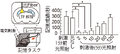 Thumbnail for version as of 06:17, 11 April 2026