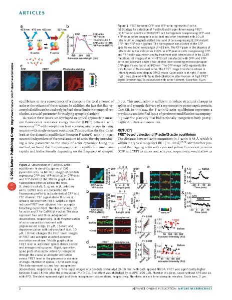 File:Page2-926px-Okamoto Nat Neurosci.pdf.jpg