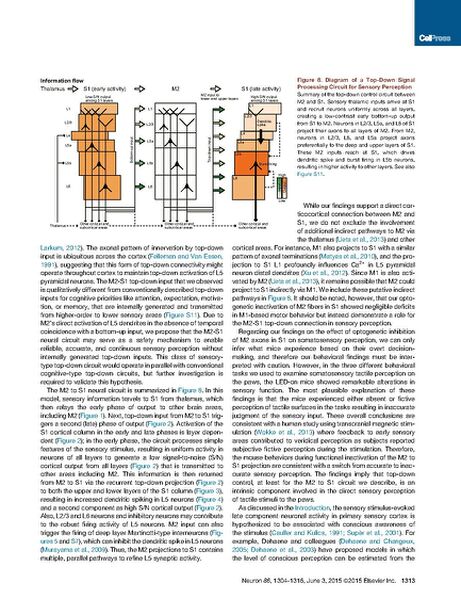 File:Page11-692px-Manita Neuron.pdf.jpg