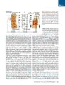 Thumbnail for version as of 06:18, 11 April 2026