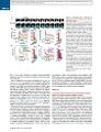 Thumbnail for version as of 06:17, 11 April 2026