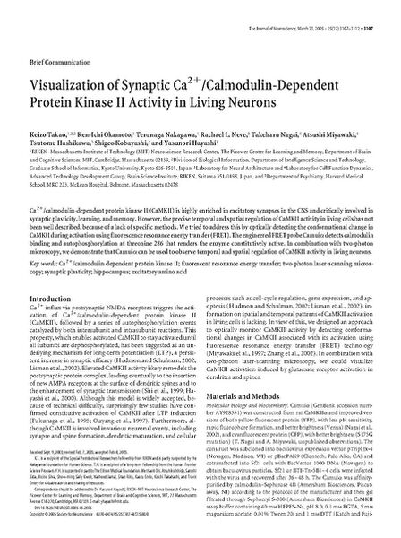 File:Page1-600px-Takao J Neurosci.pdf.jpg