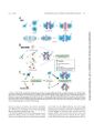 Thumbnail for version as of 06:17, 11 April 2026