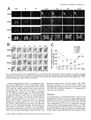 Thumbnail for version as of 06:18, 11 April 2026
