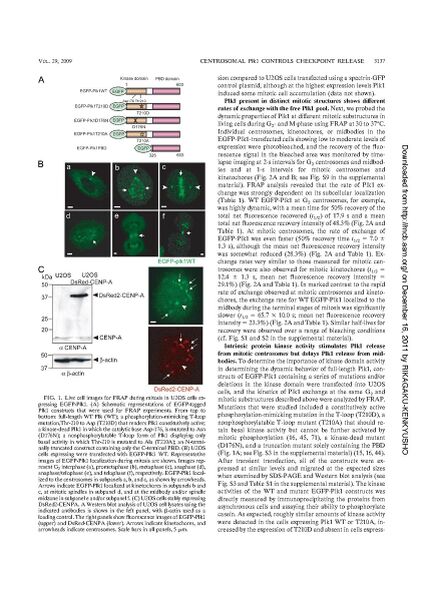 File:Page4-846px-Kishi mol cell biol.pdf.jpg