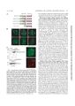 Thumbnail for version as of 06:17, 11 April 2026