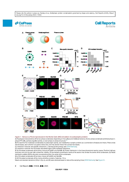 File:20250401141435!phpBLNyAt.pdf