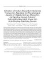 Thumbnail for version as of 06:17, 11 April 2026