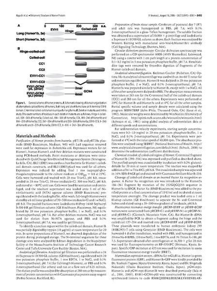 File:Page2-672px-Hayashi J Neurosci 2006.pdf.jpg