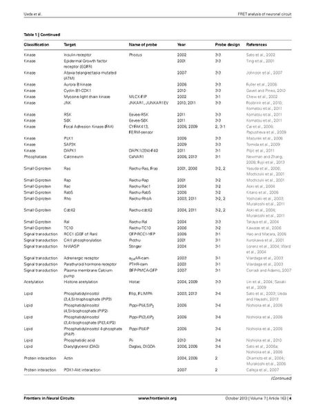File:Page4-687px-Ueda Front Neural Circuits.pdf.jpg
