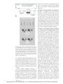Thumbnail for version as of 06:17, 11 April 2026