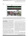 Thumbnail for version as of 06:17, 11 April 2026