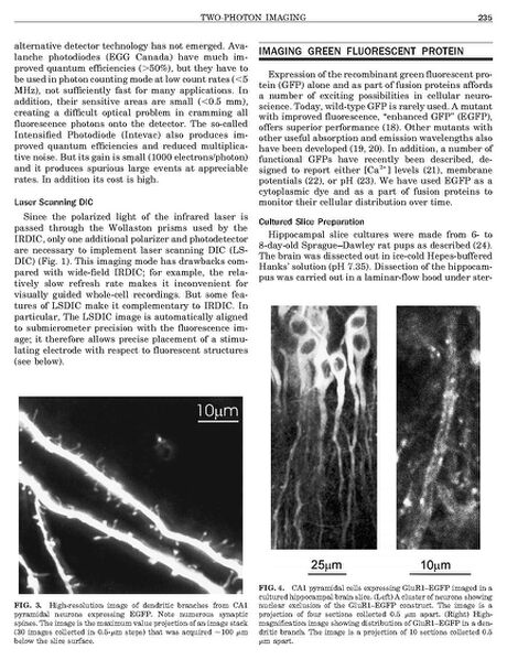File:Page5-690px-Mainen Methods.pdf.jpg