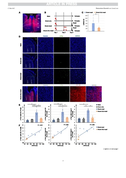 File:20250401154322!Liu Neurosci Res 2025.pdf