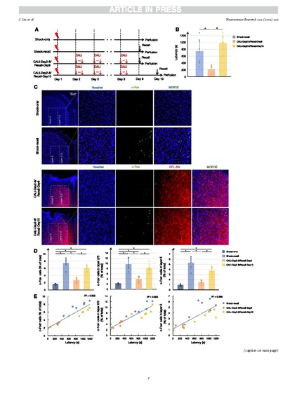 File:20250401154322!Liu Neurosci Res 2025.pdf