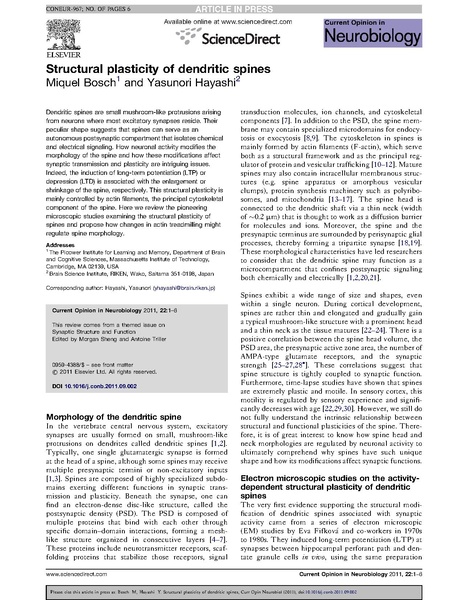 File:20250323102557!Bosch curr opin neurobiol.pdf