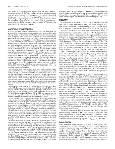 File:20250323102727!Carlezon J Neurosci.pdf