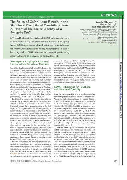 File:Okamoto Physiol.pdf