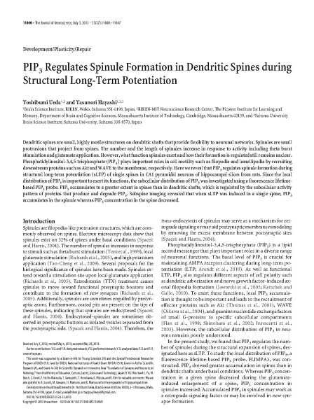 File:Page1-896px-Ueda J Neurosci.pdf.jpg