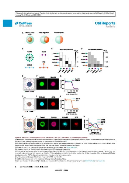 File:Page2-846px-Vikas Cell Rep 2025.pdf.jpg