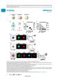 Thumbnail for version as of 06:17, 11 April 2026