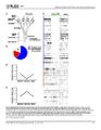 Thumbnail for version as of 06:17, 11 April 2026