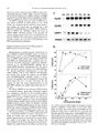Thumbnail for version as of 06:17, 11 April 2026