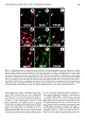 Thumbnail for version as of 06:17, 11 April 2026