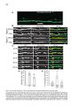 Thumbnail for version as of 06:17, 11 April 2026