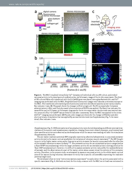 File:20250323102643!Kobayashi Sci Rep 2019.pdf