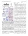 Thumbnail for version as of 06:17, 11 April 2026