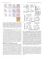 Thumbnail for version as of 06:17, 11 April 2026